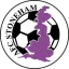 AFC Stoneham