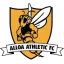 Alloa Athletic FC