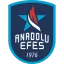 Anadolu Efes SK