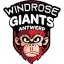 Antwerp Giants