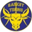 Basket Torino
