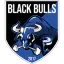 Black Bulls FC