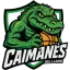 Caimanes Del Llano