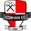 Cobham FC