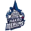 Crailsheim Merlins