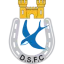 Dungannon Swifts