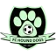 FC Hound Dogs