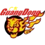 Guangdong Southern Tigers