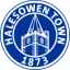 Halesowen Town FC