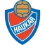 Haukar