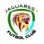Jaguares de Cordoba