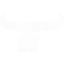 Kapfenberg Bulls