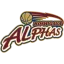 Koshigaya Alphas