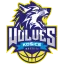 Kosice Wolves