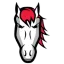 Leicester Riders