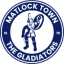 Matlock Town FC