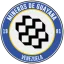 Mineros de Guayana