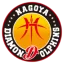 Nagoya Diamond Dolphins