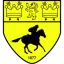 Newmarket Town