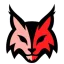Perth Lynx