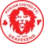 Punjab United