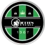 Skjetten