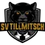 SV Tillmitsch
