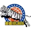 Xinjiang Flying Tigers