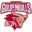 Zhejiang Golden Bulls
